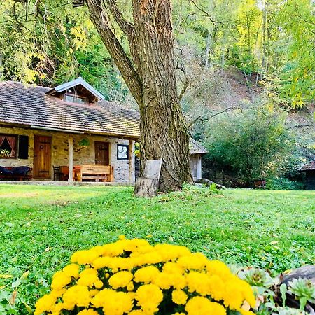Villa Kuca Za Odmor Todorovica Mlin Gornji Milanovac Exterior foto
