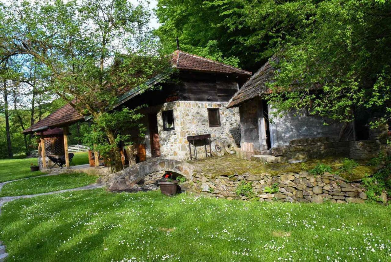 Villa Kuca Za Odmor Todorovica Mlin Gornji Milanovac Exterior foto