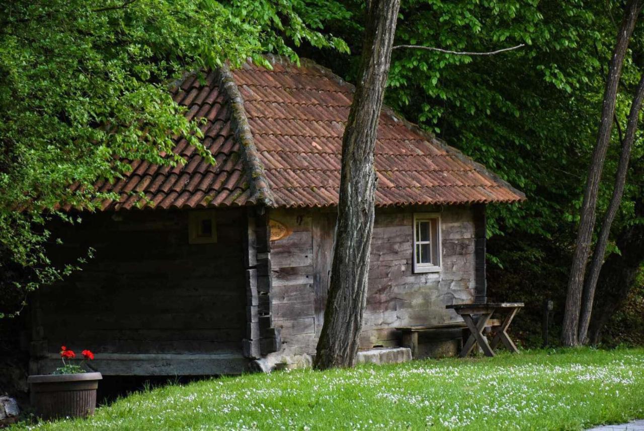 Villa Kuca Za Odmor Todorovica Mlin Gornji Milanovac Exterior foto
