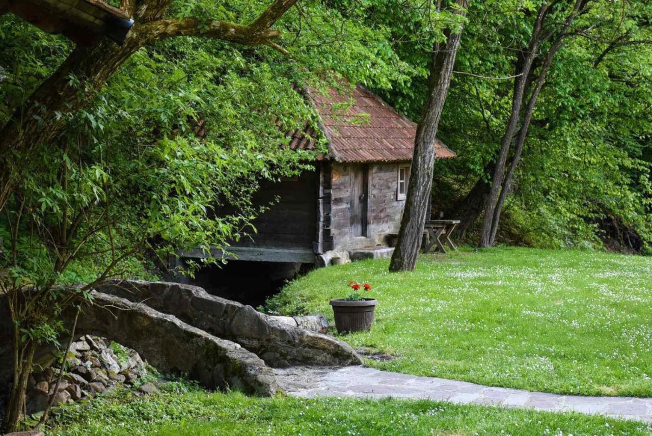 Villa Kuca Za Odmor Todorovica Mlin Gornji Milanovac Exterior foto