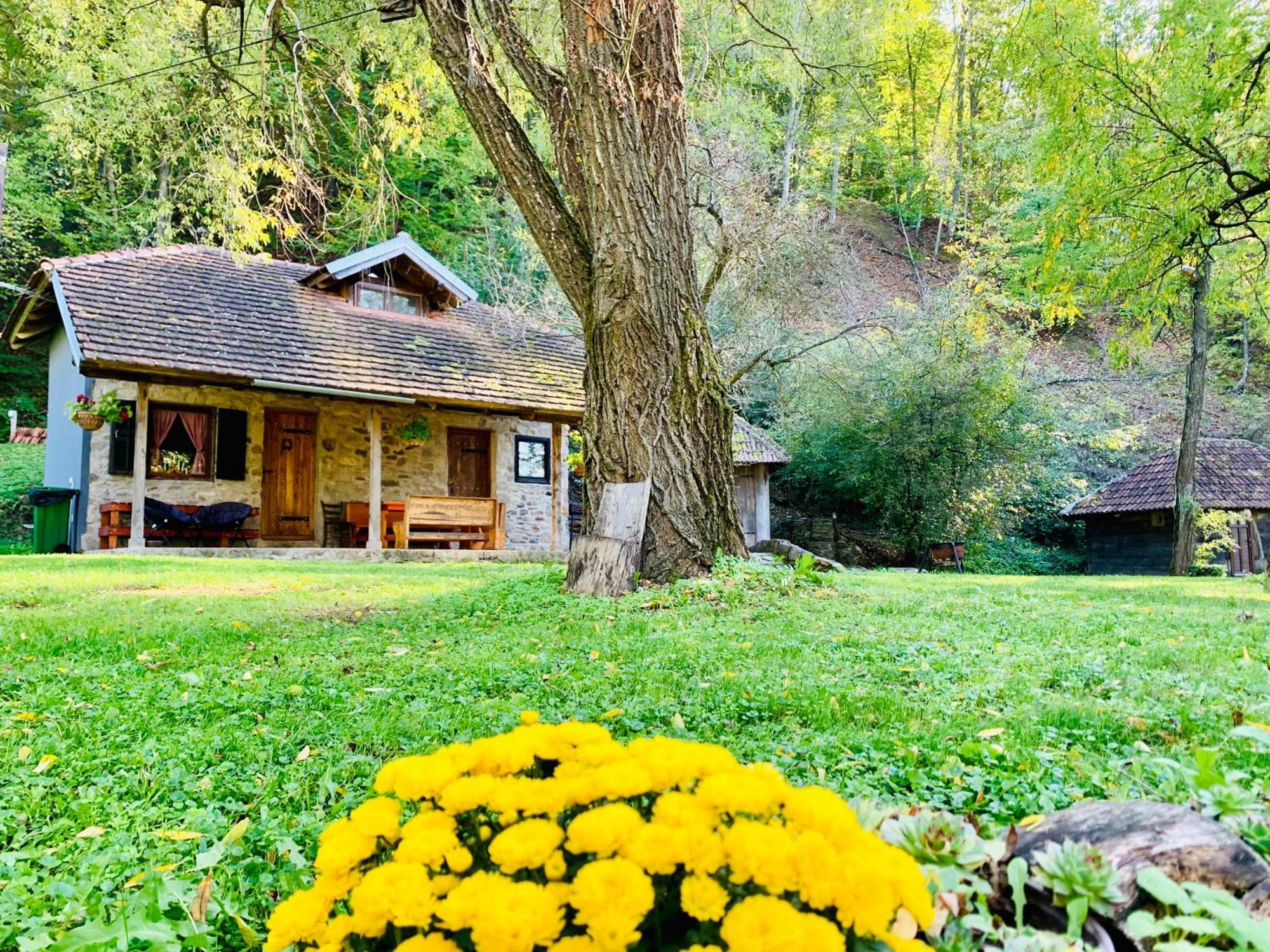 Villa Kuca Za Odmor Todorovica Mlin Gornji Milanovac Exterior foto