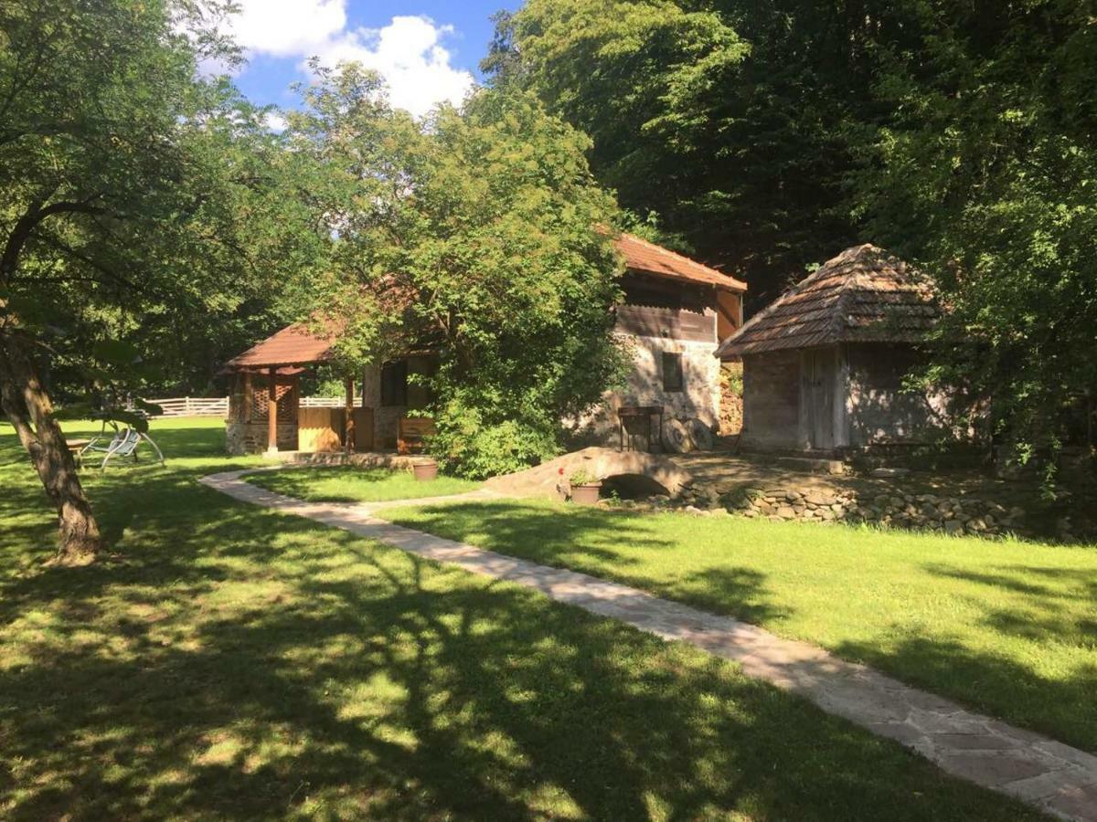 Villa Kuca Za Odmor Todorovica Mlin Gornji Milanovac Exterior foto