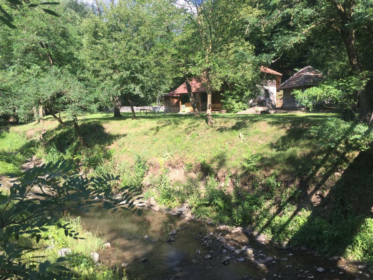 Villa Kuca Za Odmor Todorovica Mlin Gornji Milanovac Exterior foto